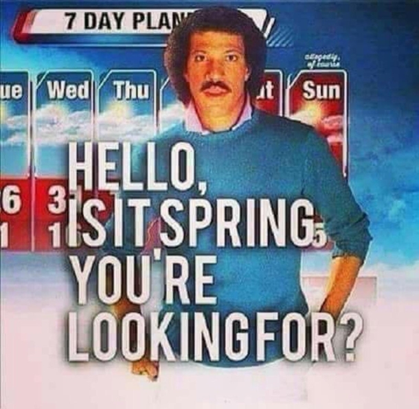 Youll have to look a little longer