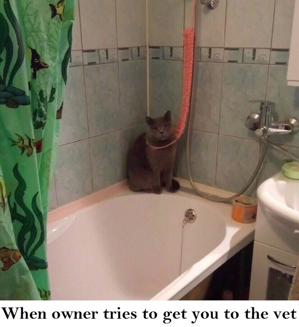 Youll never get me alive