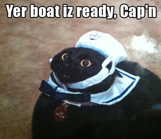 Your boat is ready captain