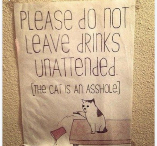 Your cat too