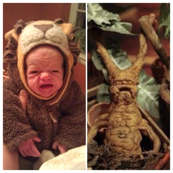 Your fiancs friends son looked familiar