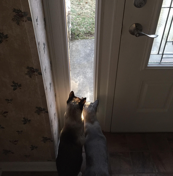 Your package is out for delivery