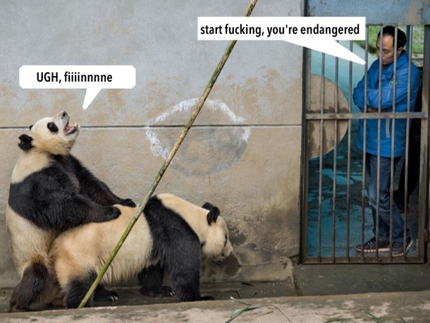 Youre endangered