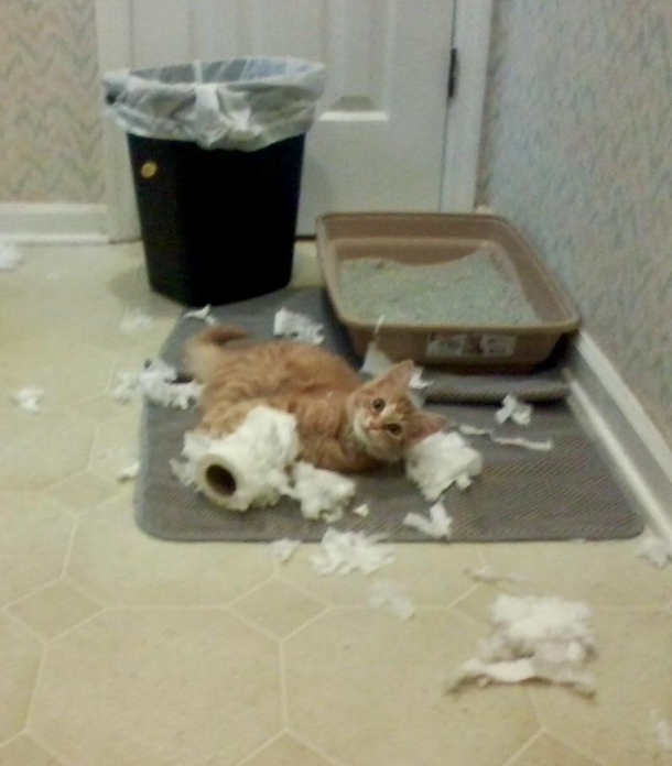 Youre home early