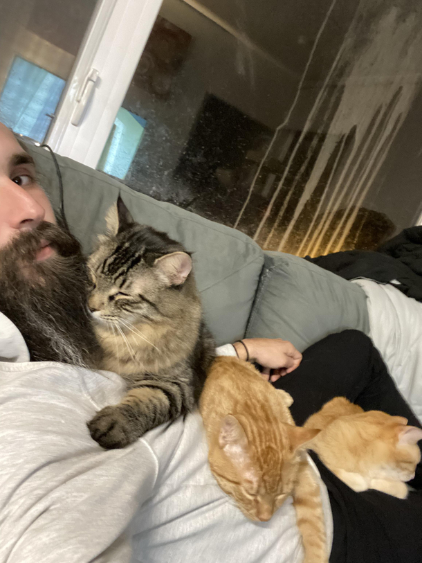 youre  youre single and live alone and wait how many cats are my free-spaces for Thanksgiving Bingo this year