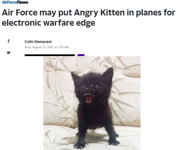 Youve got to be kitten me