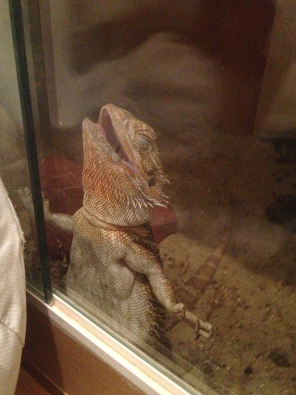 Youve got to come check out this glass man