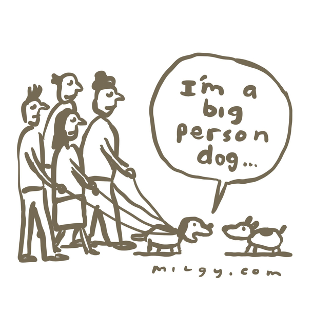 Youve heard of a dog person
