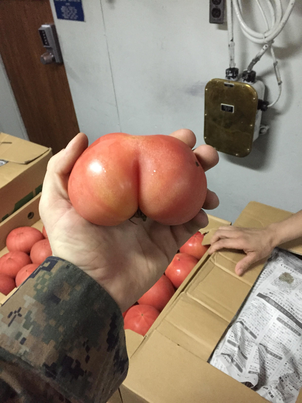 Youve seen a buttato and now a pearriere but what about this tomatass