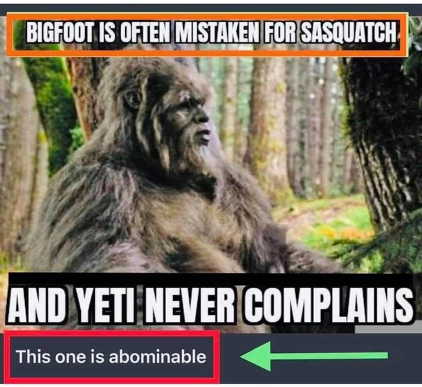 Yowie asking for that one