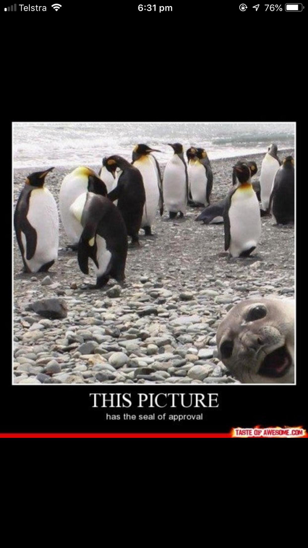 Yup it has it