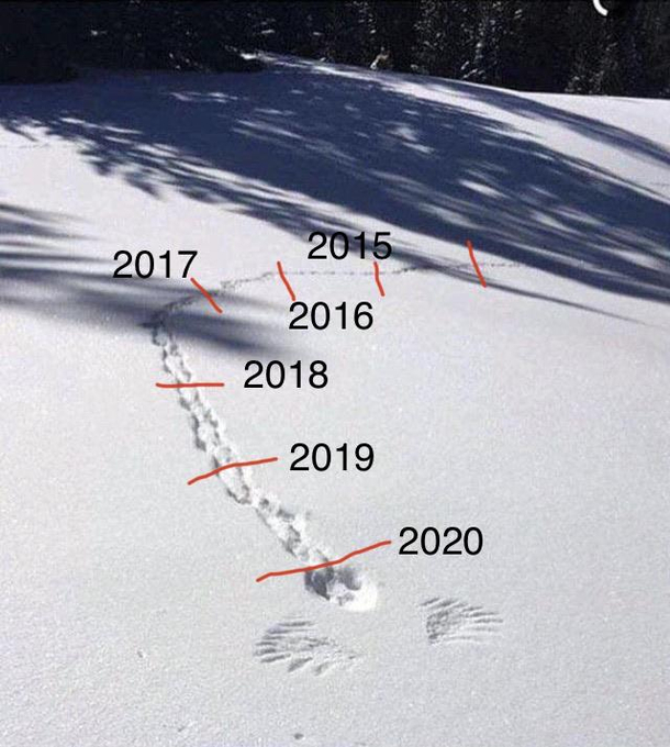 Yup this seems about right