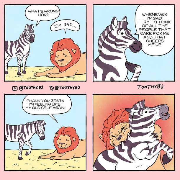 Zebra and Lion 