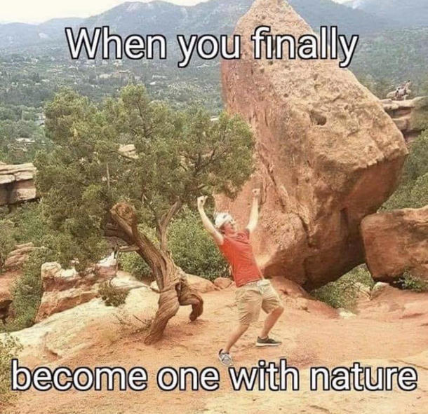 Zen mastery level 