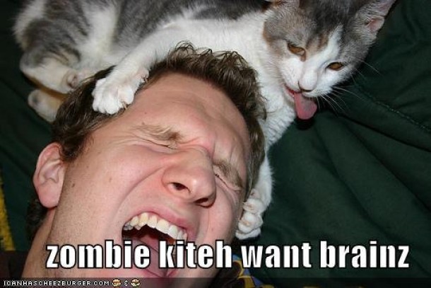 Zombeh Kitteh