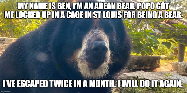 Zoos suck out loud