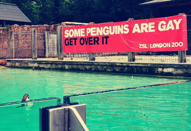 ZSL London Zoo gets it