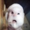 A friends dad learned how to take selfies and sent this to her Hes 