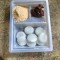 Pic #1 - Japanese Mochi Smores 