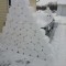 Pic #1 - My roommate left on a cruise for a week right before all these snowstorms I decided to play a little prank on him