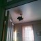 Pic #1 - Over the last week our kitten has discovered she can climb shit