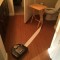 Pic #1 - Pets are messy they said Get a robot instead they said