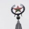 Pic #1 - So someone painted Patrick from Sponge Bob over the old Soviet star on top of a building in Voronezh Russia overnight The police is investigating this act of vandalism