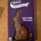 Pic #1 - Solid Chocolate Bunny
