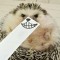 Pic #1 - super-villian hedgehog