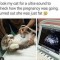 Pic #1 - Took my cat for ultrasound