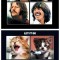 Pic #1 - What can make classic rock albums better Kittens can