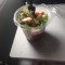 Pic #2 - airline salad