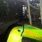 Pic #2 - I got a little too close to the Toucan when trying to take his picture
