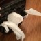 Pic #2 - Pets are messy they said Get a robot instead they said