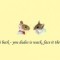 Pic #22 - Not what I expected a folder called Animal Wallpapers contained