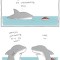 Pic #3 - Animal encounters guaranteed to cheer you up By Liz Climo
