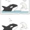 Pic #5 - Animal encounters guaranteed to cheer you up By Liz Climo