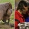Pic #6 - Capybaras That Look Like Rafael Nadal