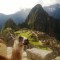 Pic #6 - I was top comment earlier on a post about a llama in Machu Piccu You guys sent me a bunch of funny llama pics as replies so I compiled them all into  album Enjoy