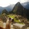 Pic #6 - I was top comment earlier on a post about a llama in Machu Piccu You guys sent me a bunch of funny llama pics as replies so I compiled them all into  album Enjoy