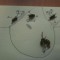Pic #7 - Sometimes i get bored at work Have some dead flies 