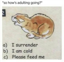 Adulting