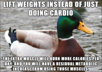  Advice duck on ladies struggling with trying to lose weight at the gym