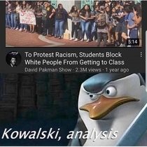 Analysis