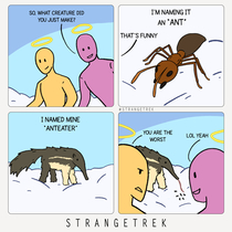 Ants