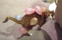 Balloonsaurus