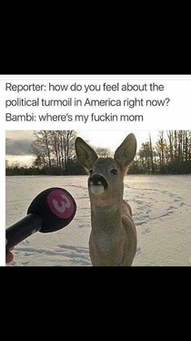 Bambi