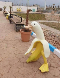 BananaDuck