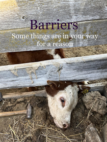 Barriers