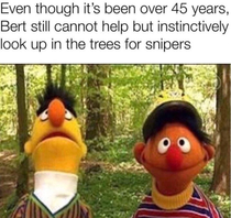 Bert